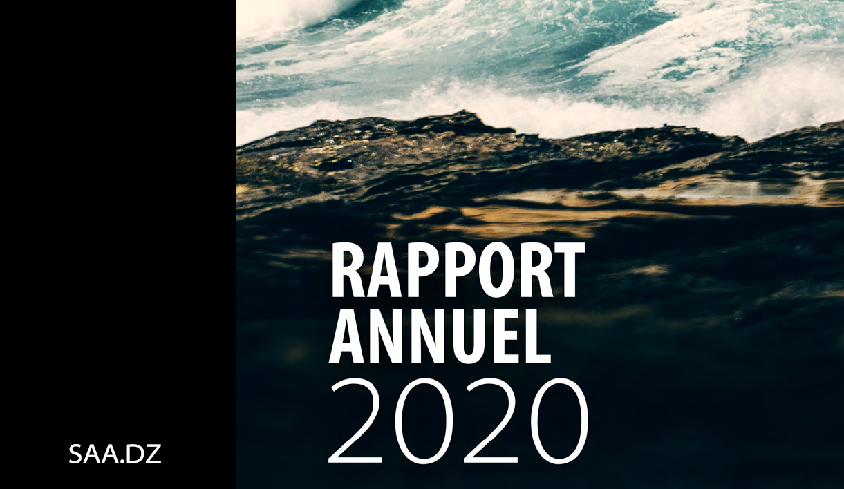 Rapport Annuel
